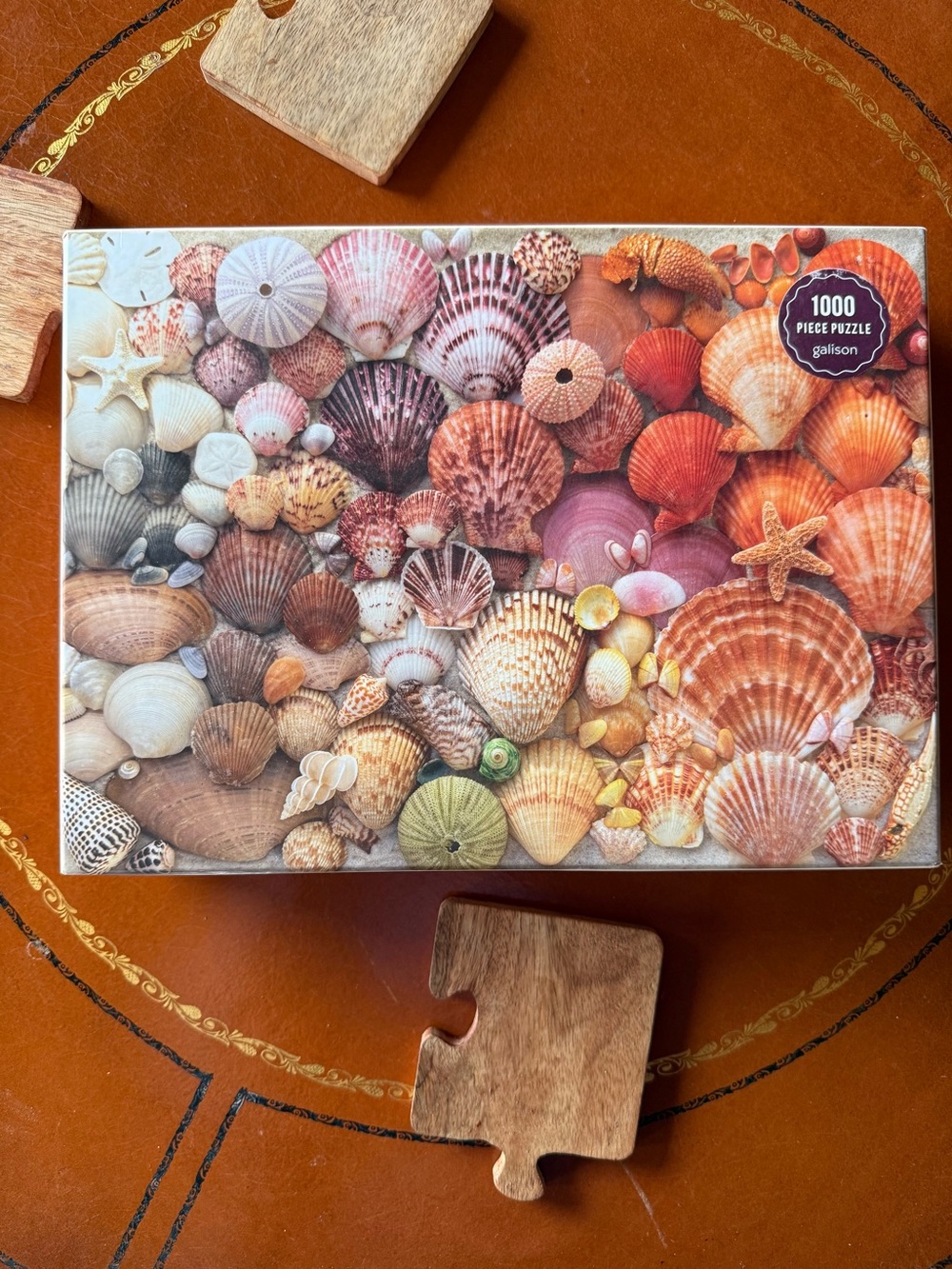 Galison Shells 1000-Piece Jigsaw Puzzle - Multicolor